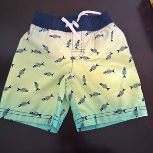 Toddler boy swim trunks